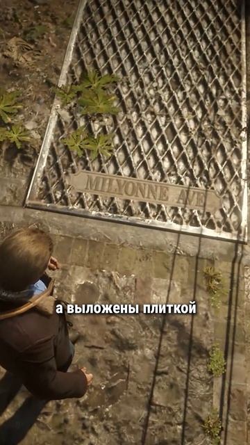 Уникальность Сен Дени в RDR 2