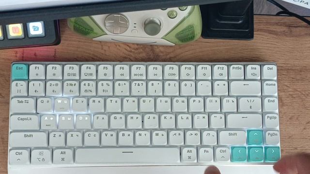 Vaiver Leaf V3