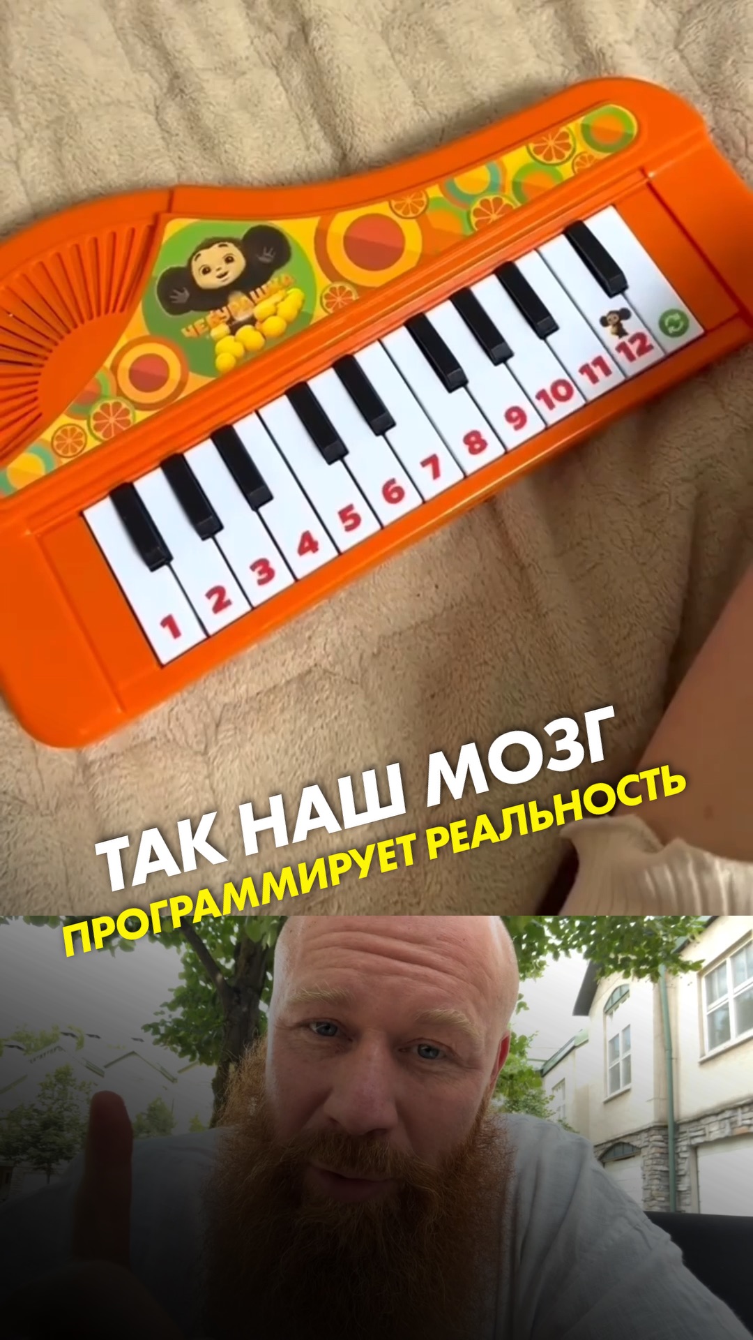 Так наш мозг программирует реальность