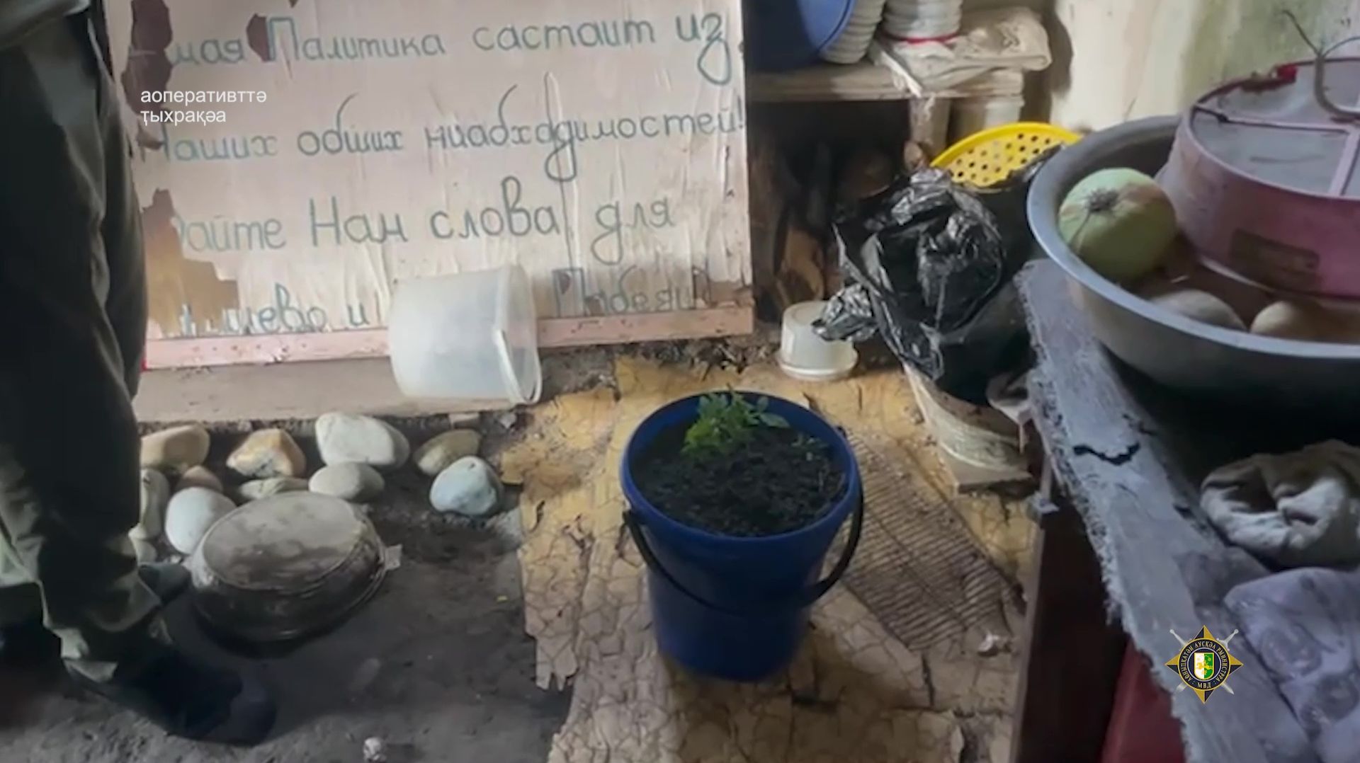 Бчара ақыҭа инхо ауаҩы имхуп имаҷымкәаҩ анаркотикатә маҭәашьари арҩышьыга злоу маҭ аҵиаақәеи.