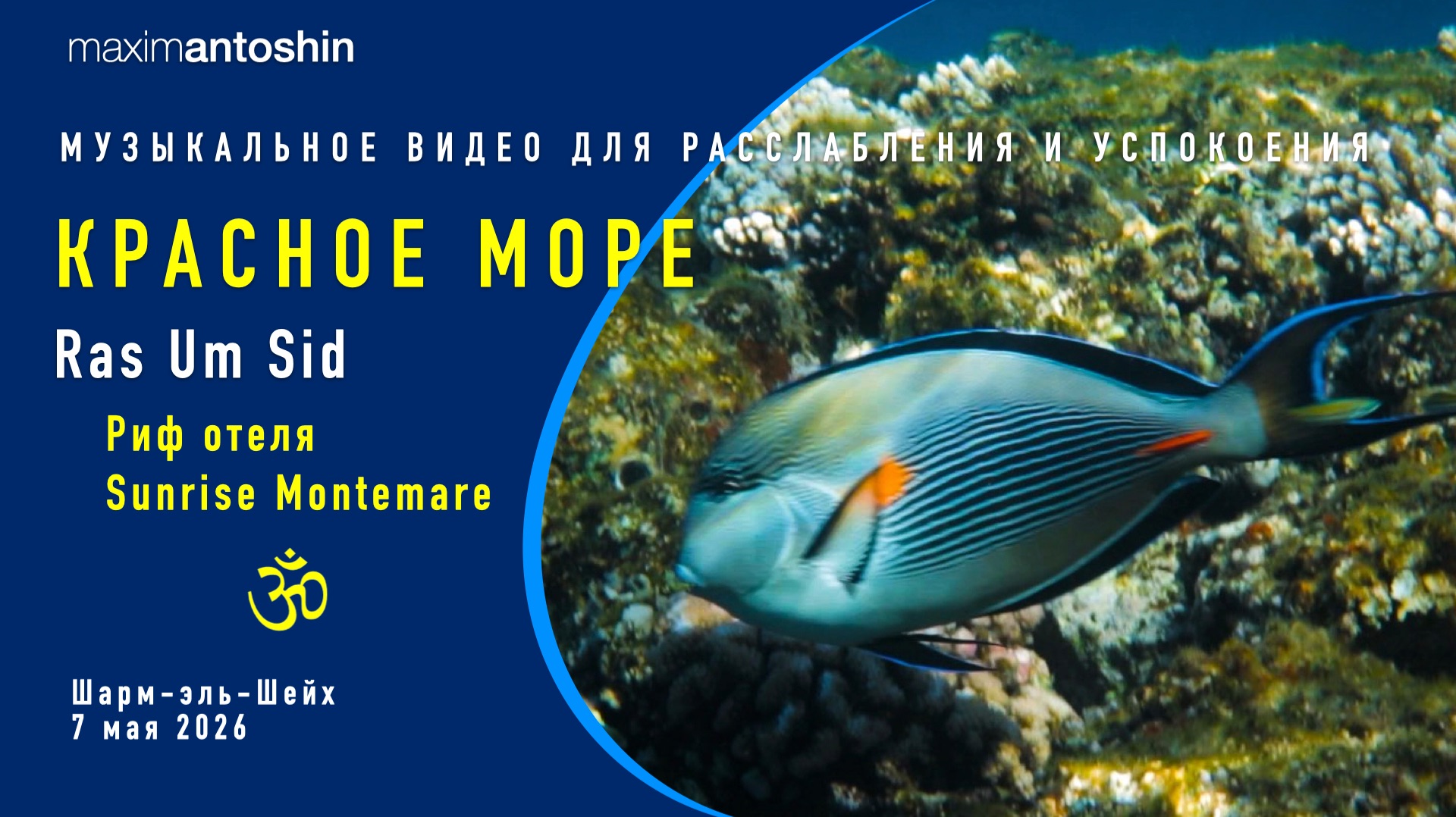 Музыкальное видео для расслабления и успокоения. Красное море. Риф отеля Sunrise Montemare