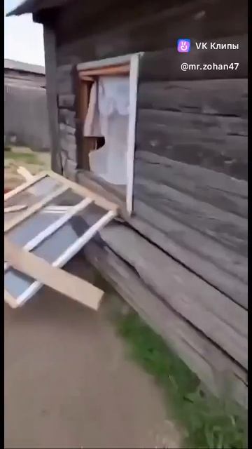 Кот разнёс дом