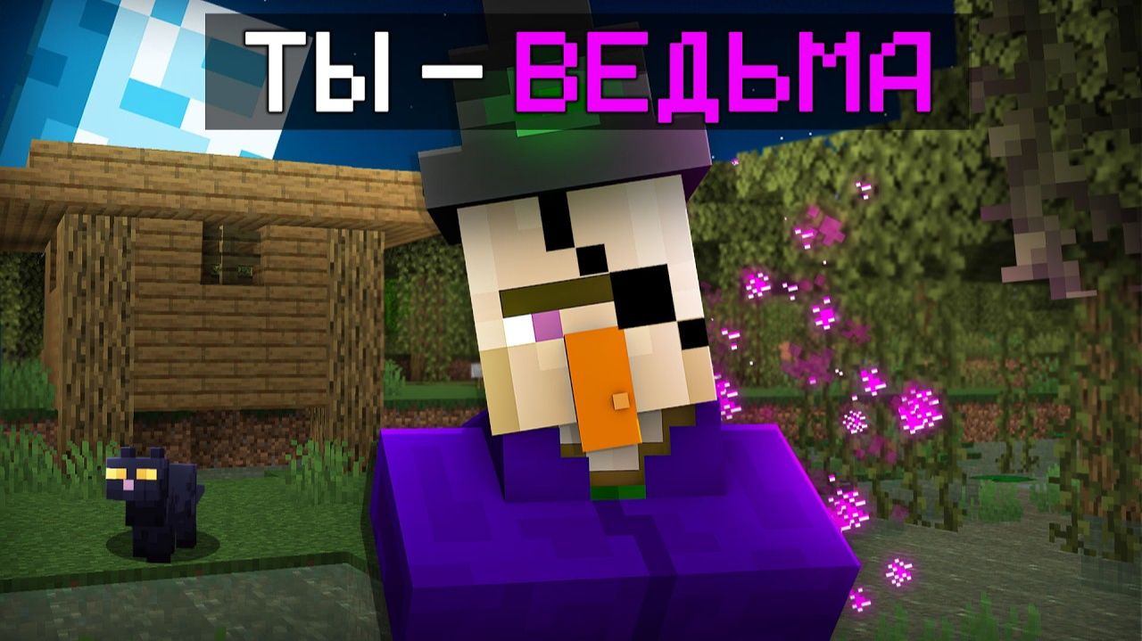 Что если ТЫ ВЕДЬМА майнкрафт