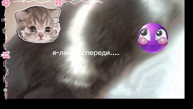 Мой котик 💋🍪🎧