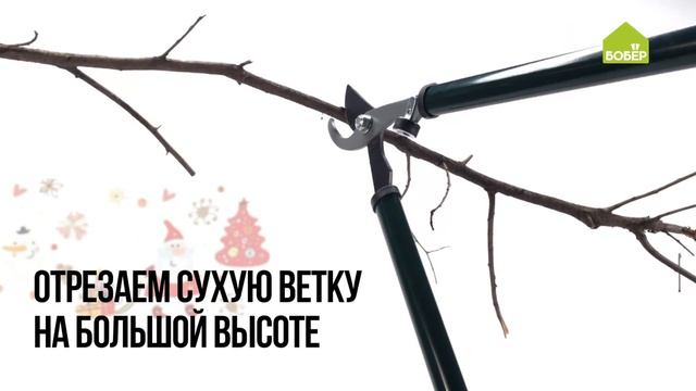 Сучкорез. Как работать инструментом? Обрезаем ветви на любой высоте. Азбука ремонта