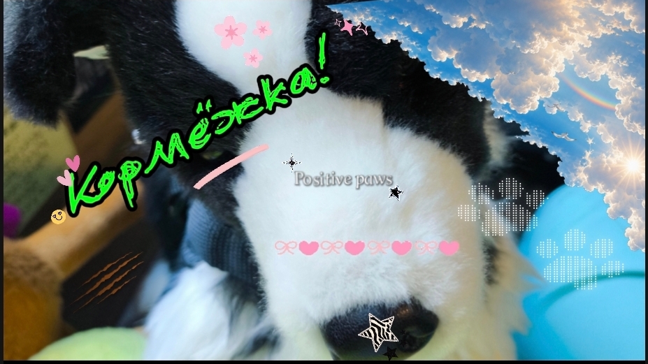 Кормёжка!
