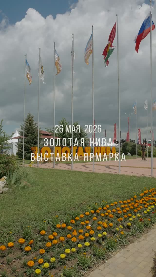 Золотая Нива 2026 Диас