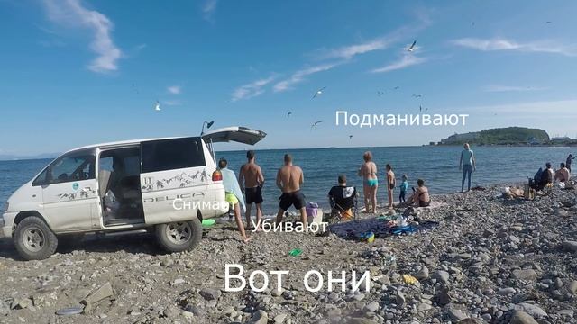 Идиоты Приморья
