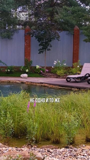 Учтите при строительстве пруда  этого для чистоты воды недостаточно!