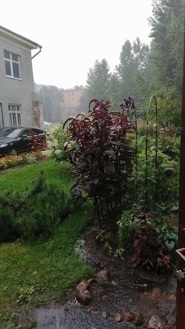Утром надо идти с работы, а тут сюрпрайз.