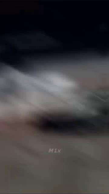 11 августа 2026 года shorts