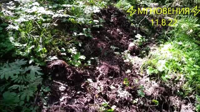 ⚡МГНОВЕНИЯ⚡ 11.8.22