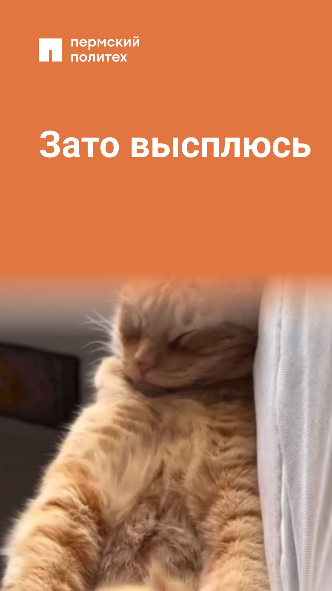 Зато высплюсь