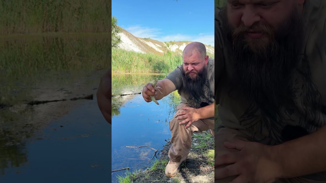 Опасный водяной клещ
