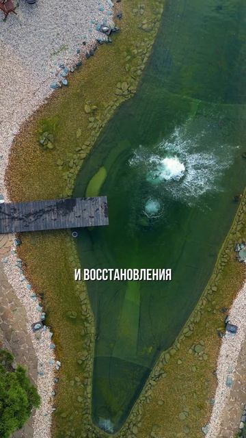 Вам не надо никуда ехать для тренировок в воде  тренировки на участке!