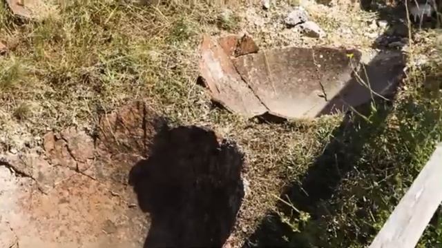 Неаполь скифский