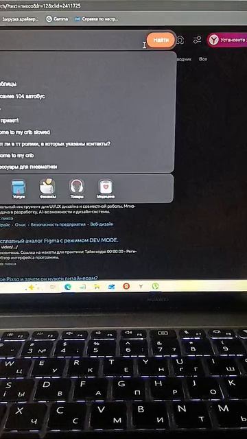 Бизнес | Футболка с принтом дельфина