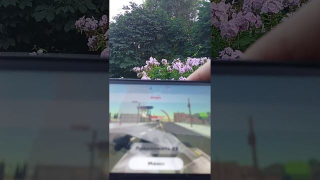 серенаголовый 6 часть