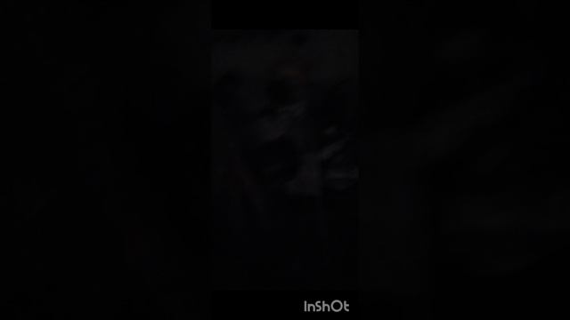 мне нечего снимать.