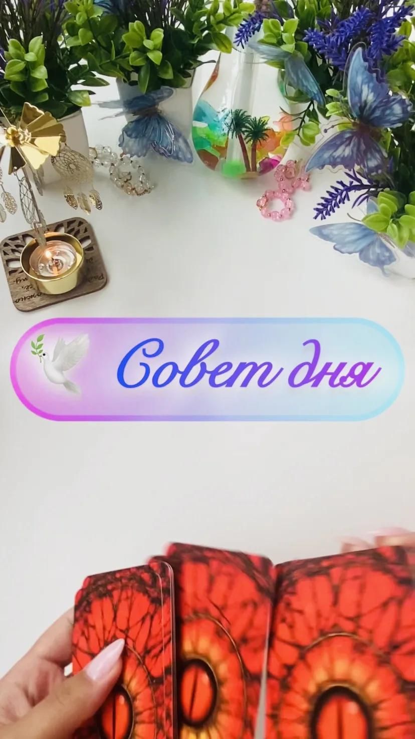 🕊️ Совет дня