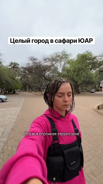 Кемпинг Letaba в парке Крюгер - это целый город! Ночевали здесь. Про автотрип по Африке в профиле