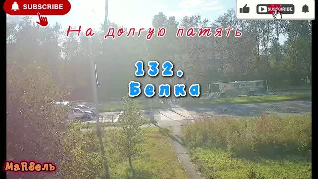 132. Белка