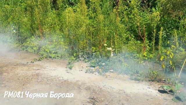 РМ081 Черная Борода