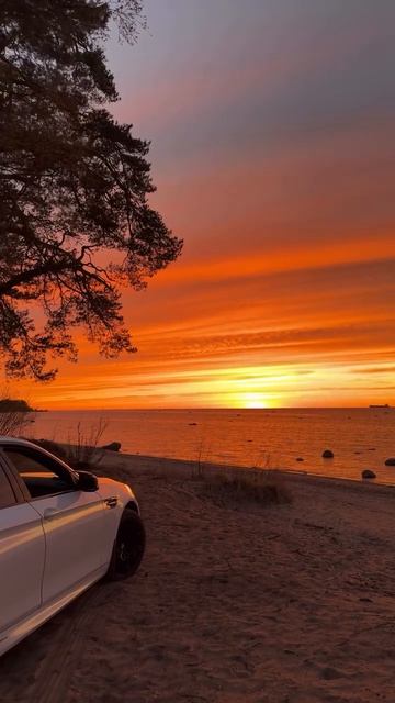 🌅
