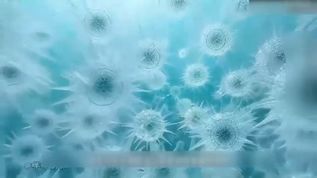 Его считали глубцом