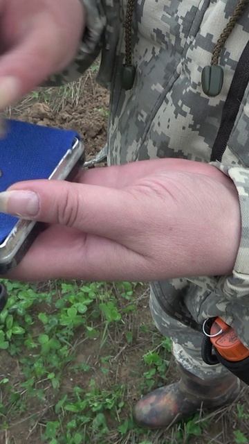 Серебряная чешуя #shorts #монеты #серебро #чешуя  #metaldetecting