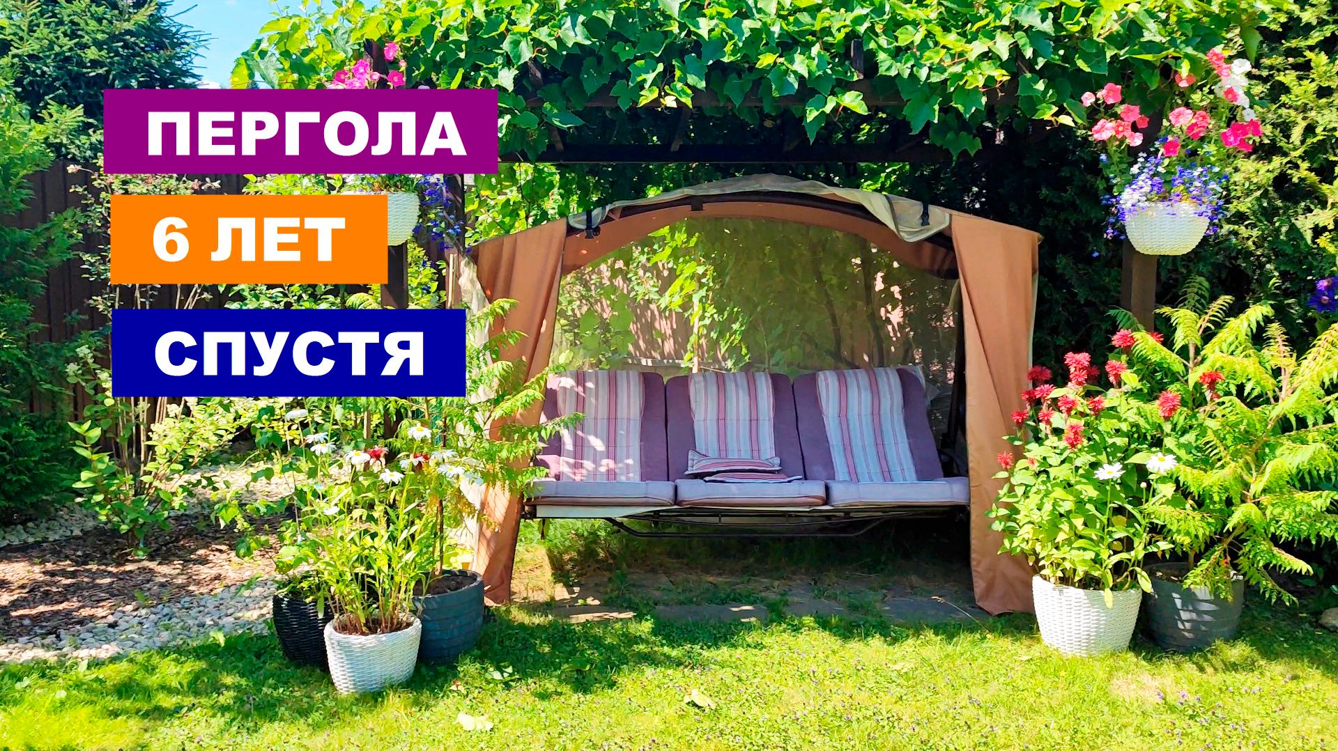 Пергола 6 лет спустя