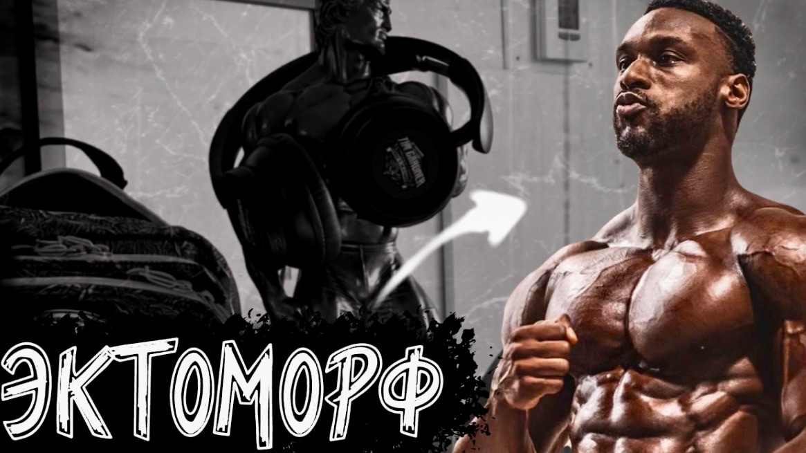 COREY MORRIS КОРОЛЬ ЭСТЕТИКИ! ПОБЕДА НА TAMPA PRO 2026!