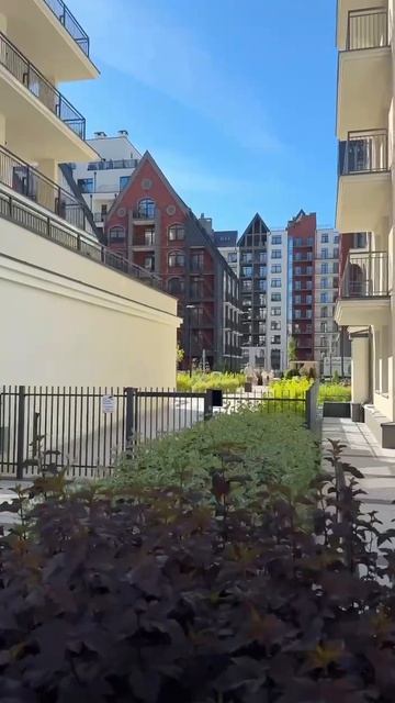 Русская Европа , чтобы купить квартиру звони 89181563095