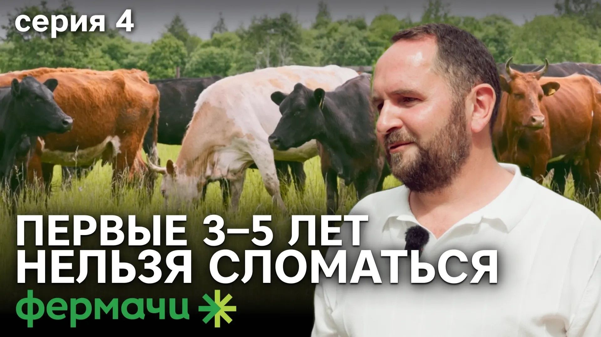 Бизнес на ангусах   Ангусы и герефорды  Мясное скотоводство  Серия 4  Фермачи