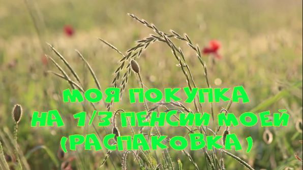 Распаковка 1/3 моей пенсии.
