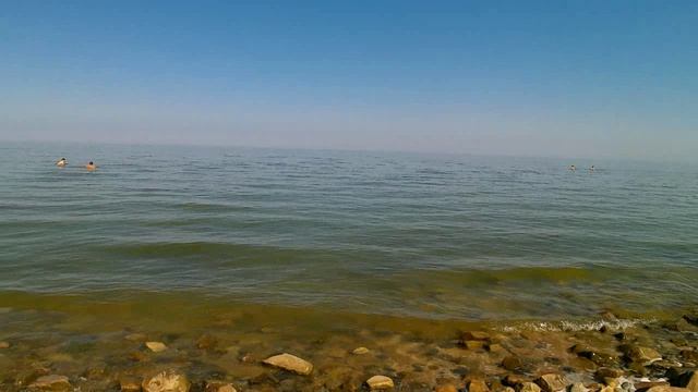 Дикий пляж, Ейск.