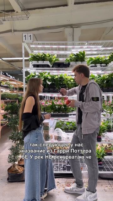 Выбираем новинки 🌱