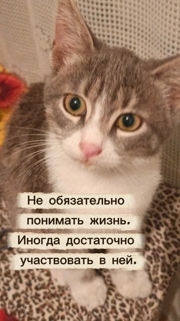 Жить жизнь