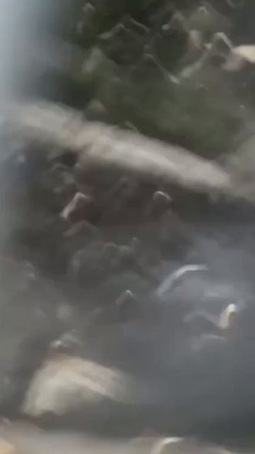 РМГ 