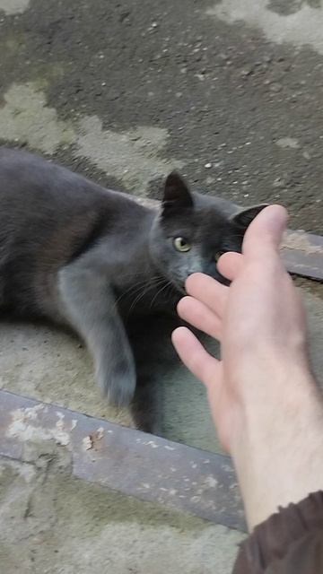 PXL_20260812_193307769