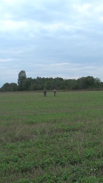 Нашли малюсенький крестик #shorts #нашли #малюсенький #крестик  #metaldetecting