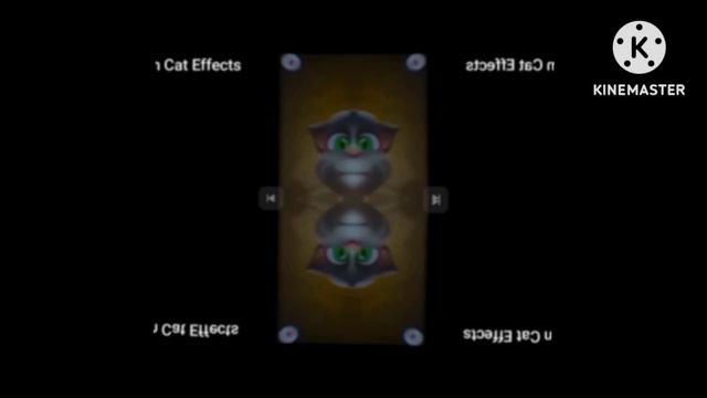 Taking Tom Cat Mirror Rotate Cubed Powers