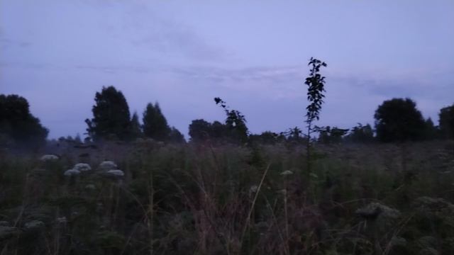 Про аистов часть 3