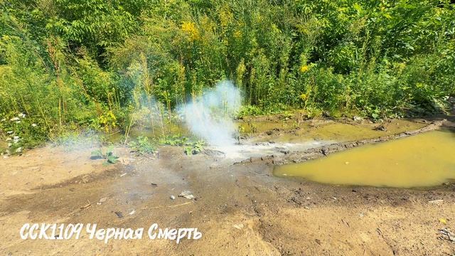 ССК1109 Черная смерть