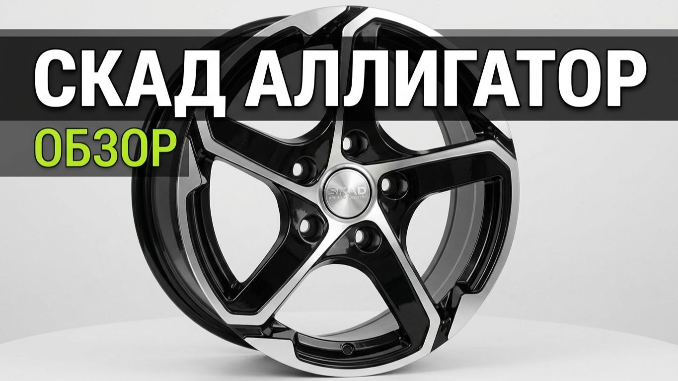 СКАД Аллигатор /// обзор