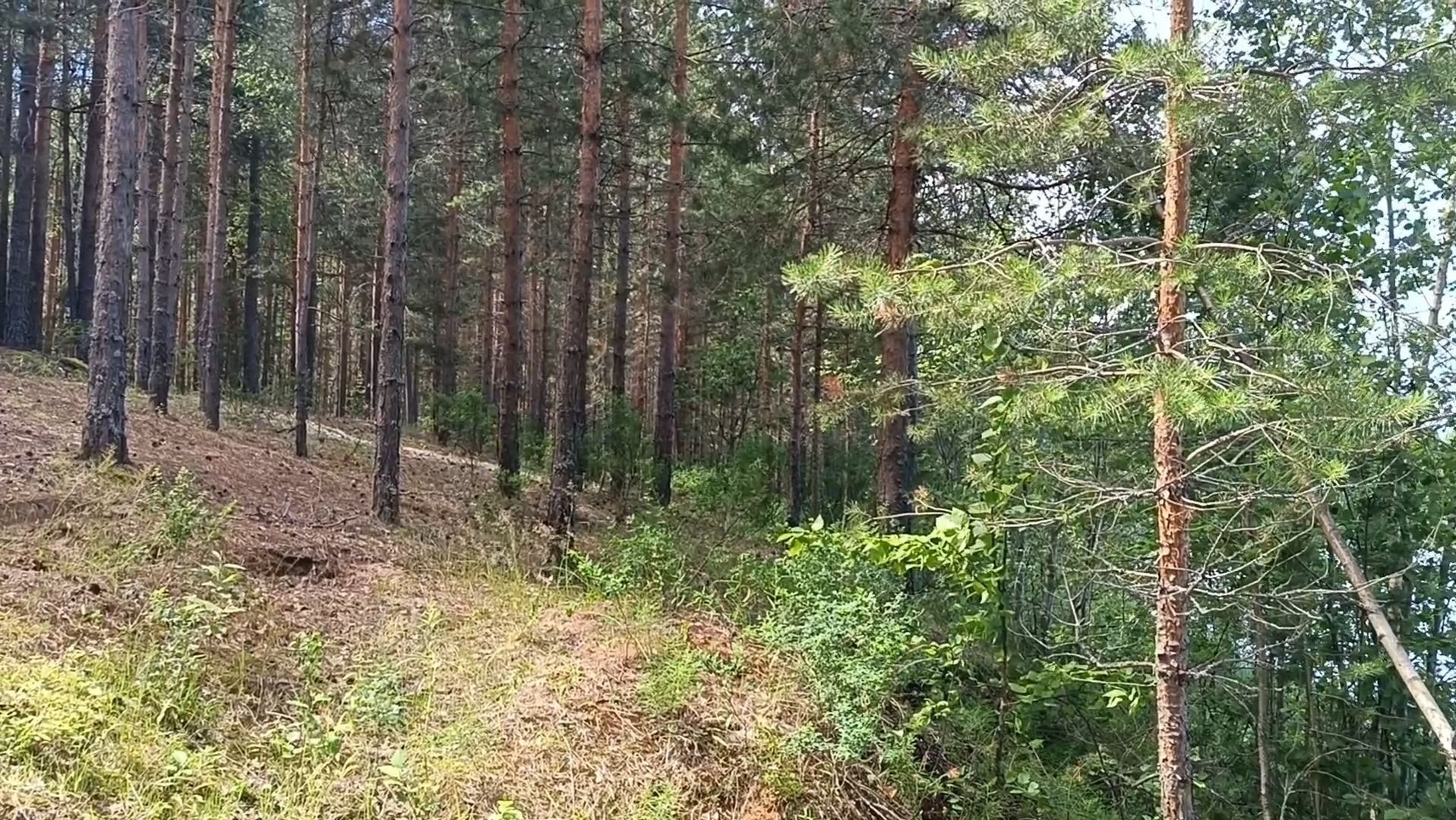 В ДОРОГЕ С ПЕСНЕЙ ВЕСЕЛЕЕ