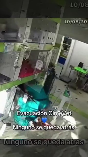 APLAUSOS De Pie Para Los Funcionarios De La Veterinaria CimeVet, De Medellín, Quienes En Medio Del D