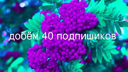 Даш авто полная версия