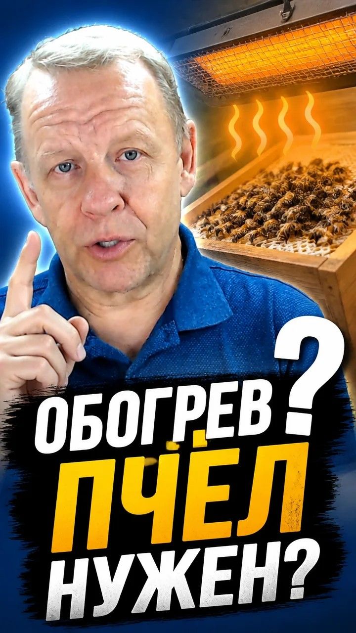 Обогрев пчёл электричеством нужен или нет. Одни проблемы