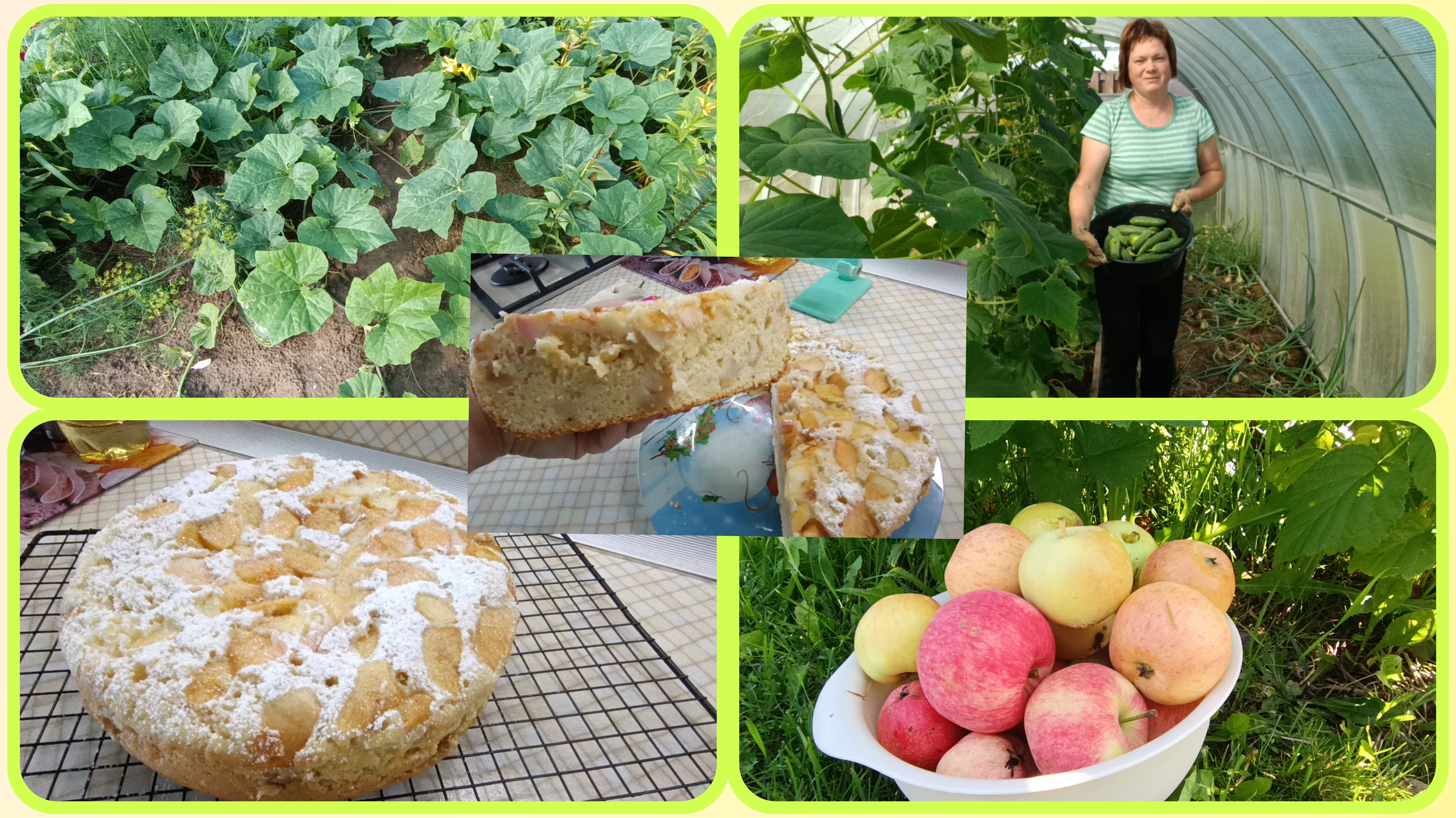 Нет огурцов,как так 🤷♀️Шарлотка🍎🍏